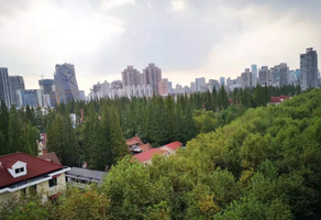 上海新華路花園洋房出租，246㎡獨棟