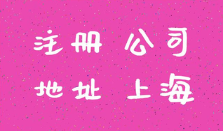 上海注冊公司成功后怎么進行查詢？