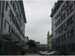 上海梅隴科技信息園助力企業(yè)跨越發(fā)展，筑夢(mèng)科技未來(lái)